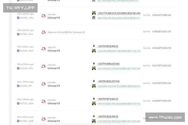 速览LADYS前10大户:前3名进黑名单,DWF Labs占总量35 速览LADYS前10大户:前3名进黑名单,DWF Labs占总量35